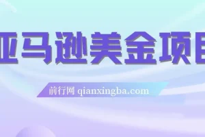 亚马逊美金项目：电商盈利相关资源