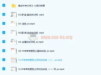 张立琛2021春初三化学春季系统班13讲课程及讲义