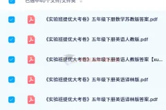 2024 春《实验班提优大考卷》：多学科同步练习资料