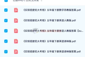 2024 春《实验班提优大考卷》：多学科同步练习资料