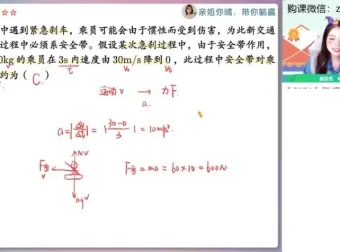 2024林婉晴高一物理精讲班