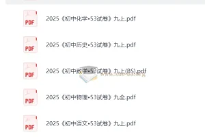 2025版《初中53试卷》九年级上七科合集