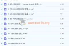 【抖音青林调色课堂】青林手机修图系统课程