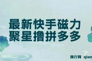 最新快手磁力聚星自撸拼多多玩法课程：单设备日收益14 – 17元