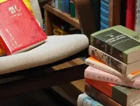 《各小说网站VIP排名100小说》网文合集