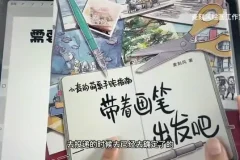 iPad商业插画接单全攻略：Procreate全流程教学（麦刻风）