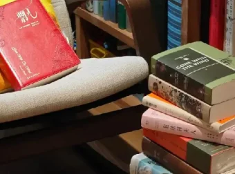 《各小说网站VIP排名100小说》网文合集