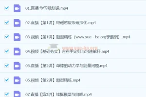 孙竞轩高二物理2024年A+寒假班