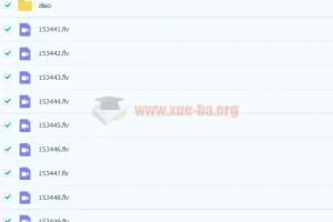 张丁儿初三数学实验班经典题练15讲（含讲义）