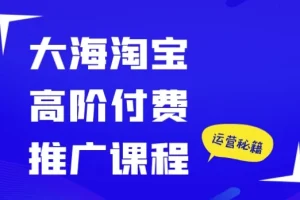 大海淘宝高阶付费推广课程：精准剖析推广工具，助力店铺业绩提升