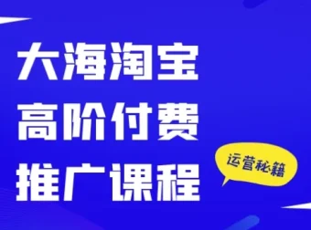 大海淘宝高阶付费推广课程：精准剖析推广工具，助力店铺业绩提升