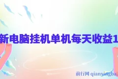 最新电脑挂机搬砖项目：佰单汇，跨境电商流量服务，绿色稳定带管道收益