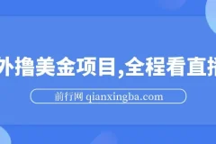 海外看直播撸美金项目教程：小白轻松上手