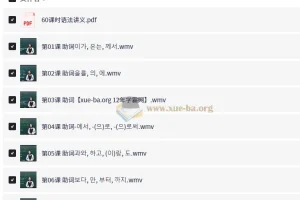 韩语初中级语法60课时课程