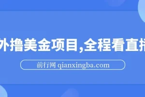 海外看直播撸美金项目教程：小白轻松上手
