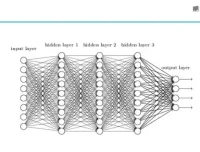Python知识图谱实战：医疗、金融、行人重识别项目课程全解析