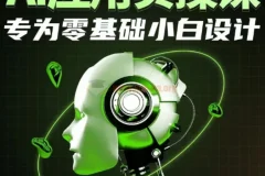 AI应用实操课：专为零基础小白设计
