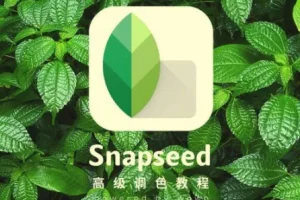 Snapseed从入门到精通：手机修图高手速成课程