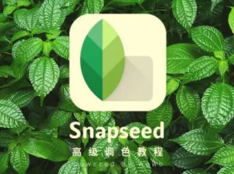 Snapseed从入门到精通：手机修图高手速成课程