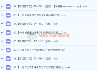 2024初三中考语文何铮铮寒假班（春上）