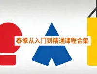 泰拳从入门到精通课程合集：系统学习泰拳的终极指南