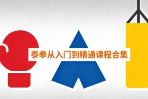 泰拳从入门到精通课程合集：系统学习泰拳的终极指南