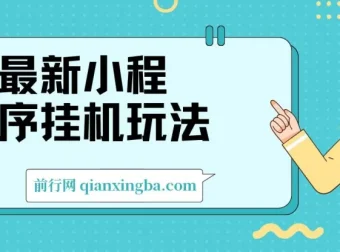 2024最新小程序挂机玩法：手机轻松操作，日入可达900+