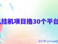 手机挂机项目：零撸30个APP平台广告金币，月入轻松大几千