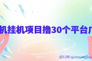 手机挂机项目：零撸30个APP平台广告金币，月入轻松大几千