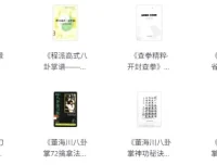 中华武术经典著作合集：领略传统武术魅力