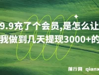 9.9 充会员实现几天提现 3000+项目介绍