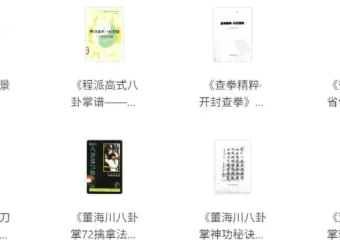中华武术经典著作合集：领略传统武术魅力
