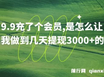 9.9 充会员实现几天提现 3000+项目介绍