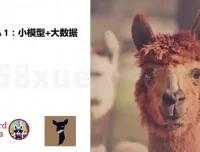 《AI大模型微调实战：8周掌握前沿技术与深度应用开发》