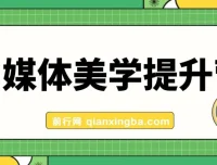 自媒体美学提升营：手把手提升品牌审美，打造调性博主（11节课）