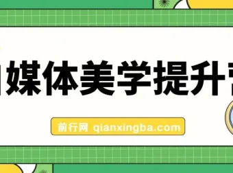 自媒体美学提升营：手把手提升品牌审美，打造调性博主（11节课）
