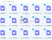 白马老师诗词课 115节