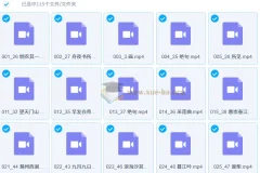 白马老师诗词课 115节