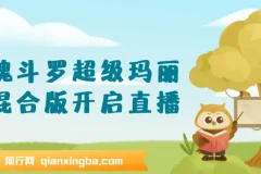 魂斗罗超级玛丽混合版直播玩法教程，轻松开启日入千元新项目
