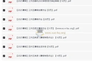 2025 暑假小学特色作业资料包