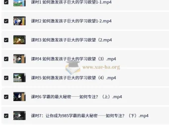 985逆袭学习方法与提分经验课程