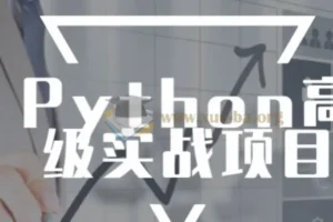 Python高级实战项目进阶教程