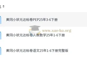 2025春小学黄冈小状元达标卷·人教版（语数英）：龙门书局出品