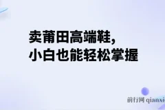 卖莆田高端鞋项目：每天两小时，小白轻松日入2000+