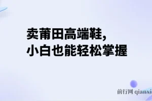 卖莆田高端鞋项目：每天两小时，小白轻松日入2000+