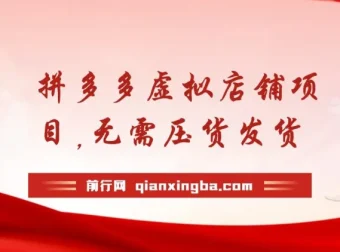 拼多多虚拟店铺项目：小白0基础起步，半月实现日入200+的自动化电商玩法