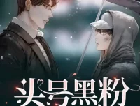 有声小说《头号黑粉》：纯爱都市多人有声剧（252集完结）