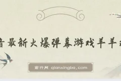 抖音最新火爆弹幕游戏《羊羊对决》保姆级搭建开播教程，轻松撸音浪