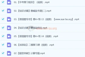 2024初中初三中考化学寒假春季班（陈耀泉）