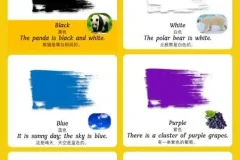 儿童英语启蒙：零基础单词卡全集，涵盖多领域基础词汇